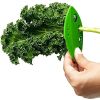 1pc Herb Stripper; 8 Holes Kitchen Herb Leaf Stripping Tool; Tool For Kale; Collard Greens; Thyme; Basil; Rosemary Stripper - Orange